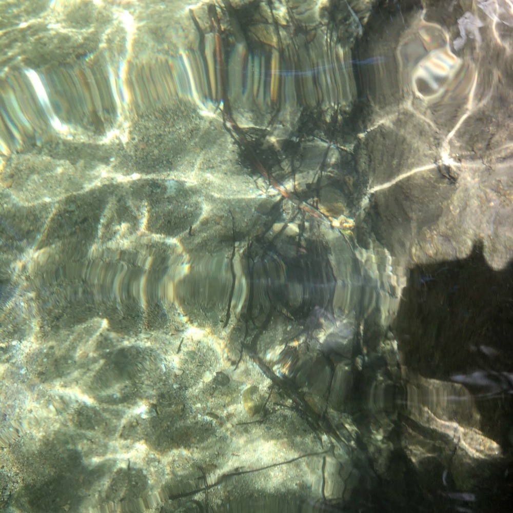 Meet your Posher, Max